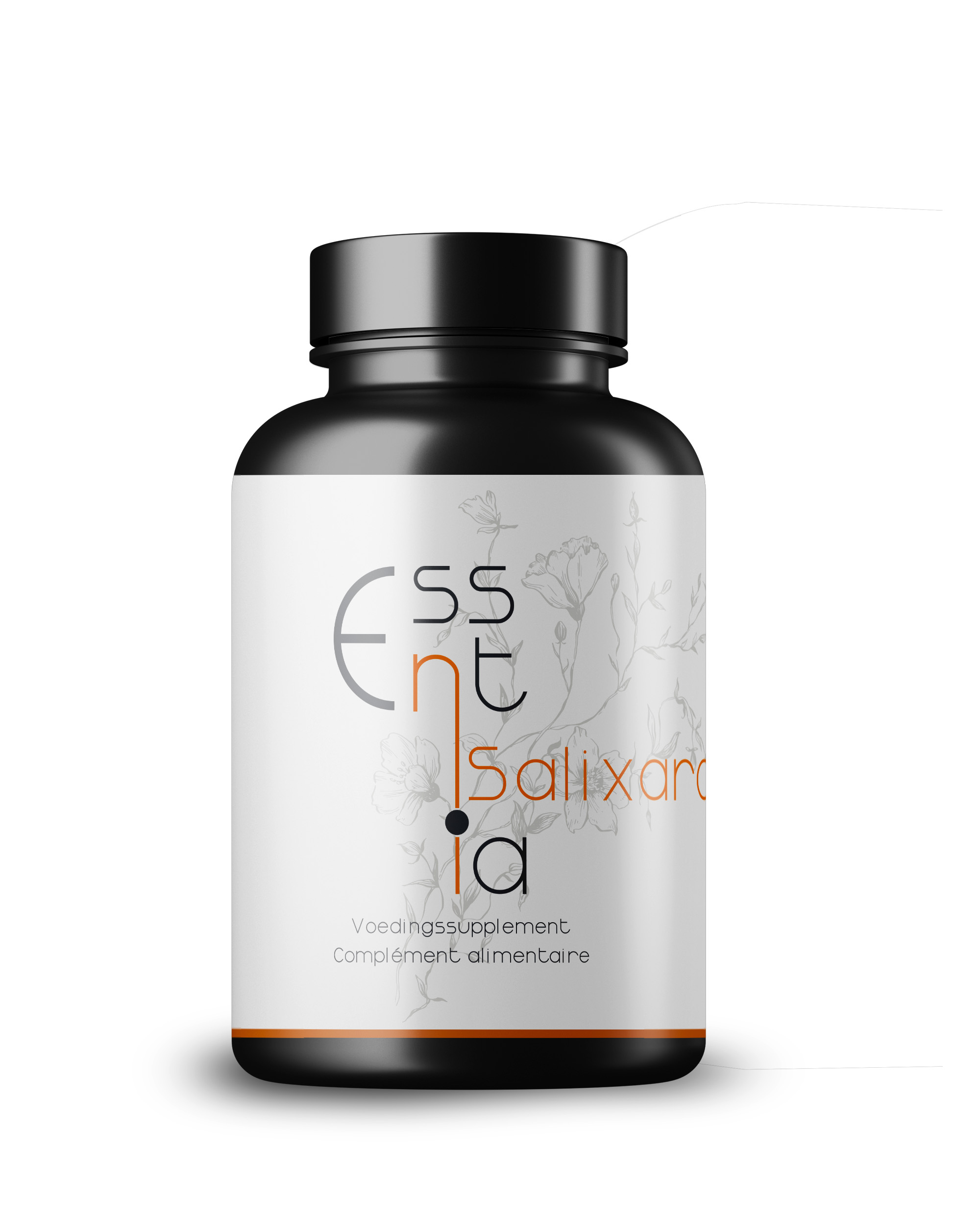 branding & packaging